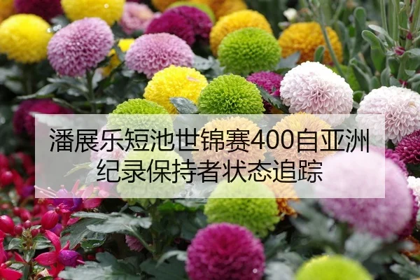 潘展乐短池世锦赛400自亚洲纪录保持者状态追踪