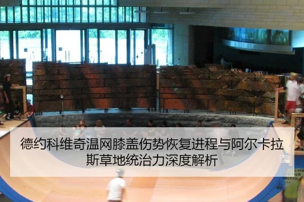 德约科维奇温网膝盖伤势恢复进程与阿尔卡拉斯草地统治力深度解析