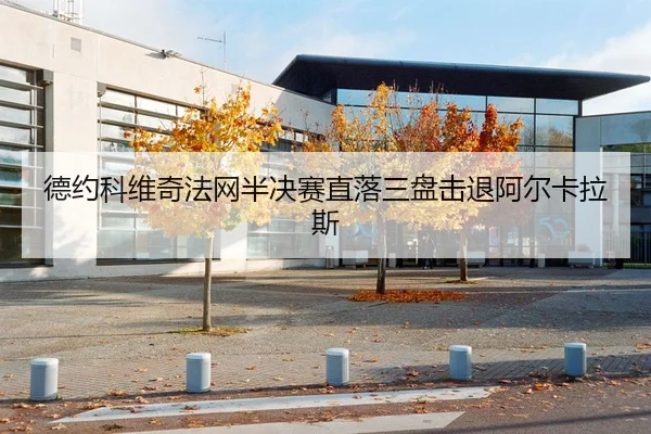 德约科维奇法网半决赛直落三盘击退阿尔卡拉斯