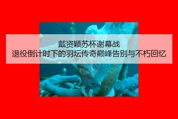 dai-zi-ying-su-bei-xie-mu-zhan-tui-yi-dao-ji-shi-xia-de-yu-tan-chuan-qi-dian-feng-gao-bie-yu-bu-xiu-hui-yi-3-996.jpg