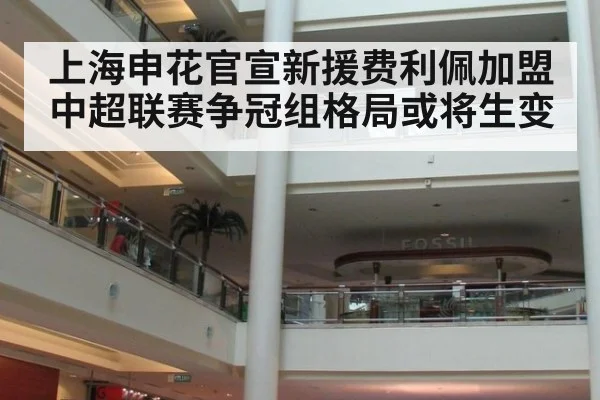 上海申花官宣新援费利佩加盟中超联赛争冠组格局或将生变